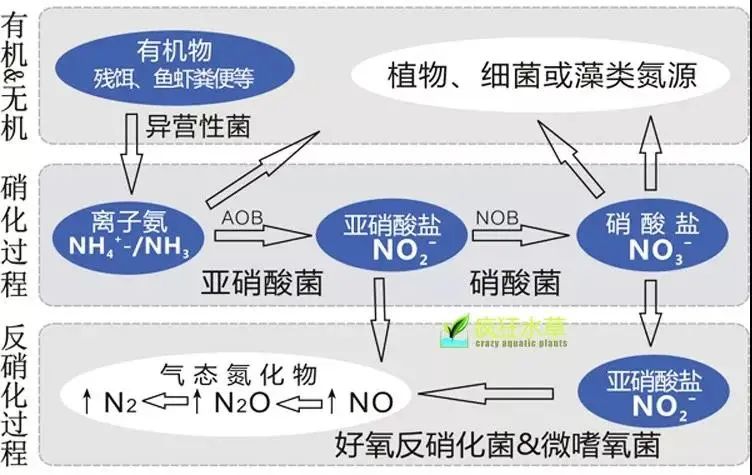 流體展|面對(duì)低濃度氨氮工業(yè)廢水束手無策?這幾種方法可以解決- 流體展|面對(duì)低濃度氨氮工業(yè)廢水束手無策?這幾種方法可以解決-