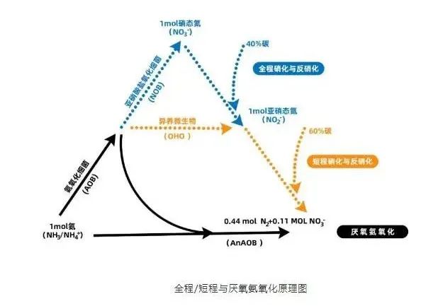 流體展|面對(duì)低濃度氨氮工業(yè)廢水束手無策?這幾種方法可以解決- 流體展|面對(duì)低濃度氨氮工業(yè)廢水束手無策?這幾種方法可以解決-